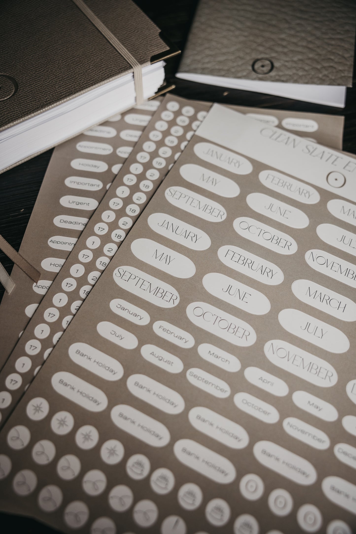 PRE-ORDER The Motherlode Sticker Sheet Collection